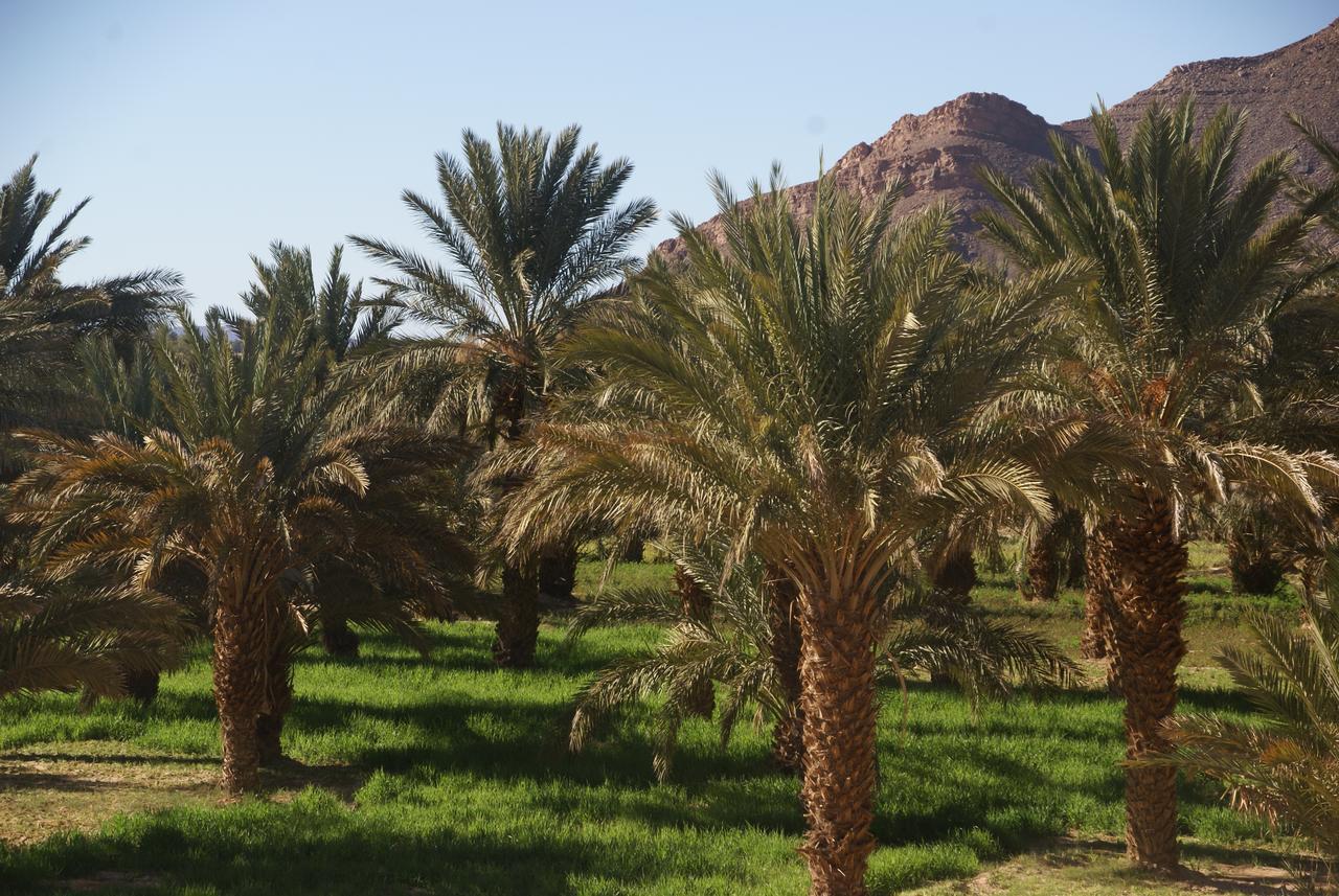 Riad Les Jardins De Tafraoute Foum Mharech Luaran gambar